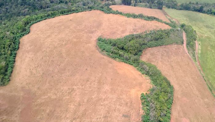Com apoio do IAT, Operação Mata Atlântica em Pé aplica mais de R$ 28 milhões em multas